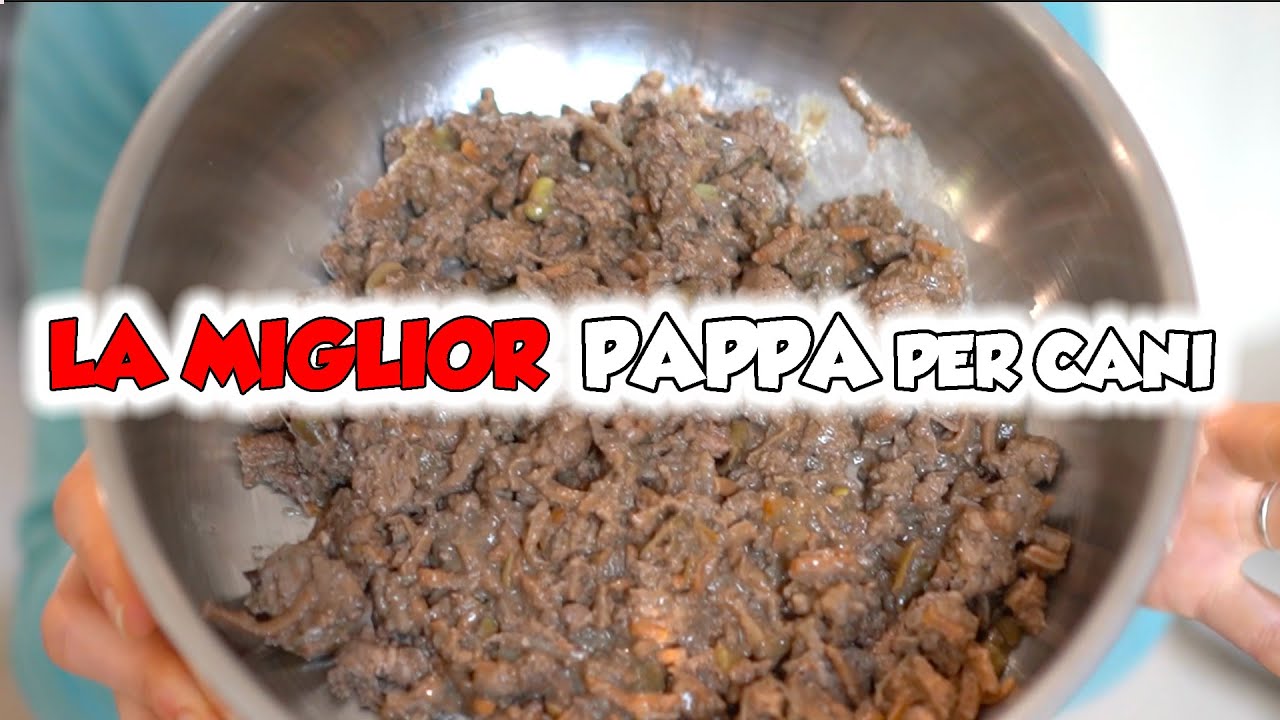 LA MIGLIOR PAPPA PER CANI - Petterfood Recensione
