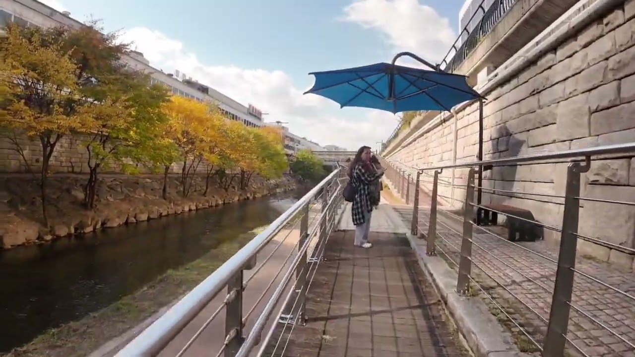 Cheonggyecheon sightseeing🇰🇷🍁
