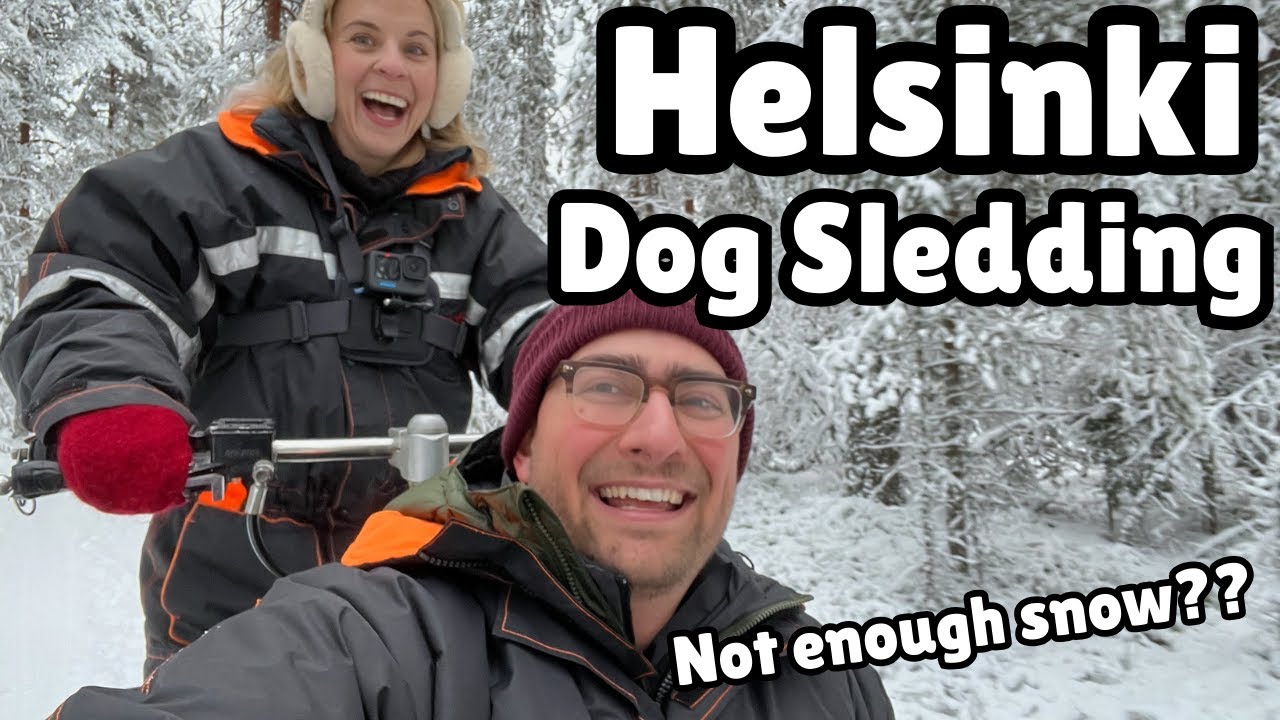 Americans Go Dog Sledding in Helsinki!  (that's right, you do not need to go all the way to Lapland)