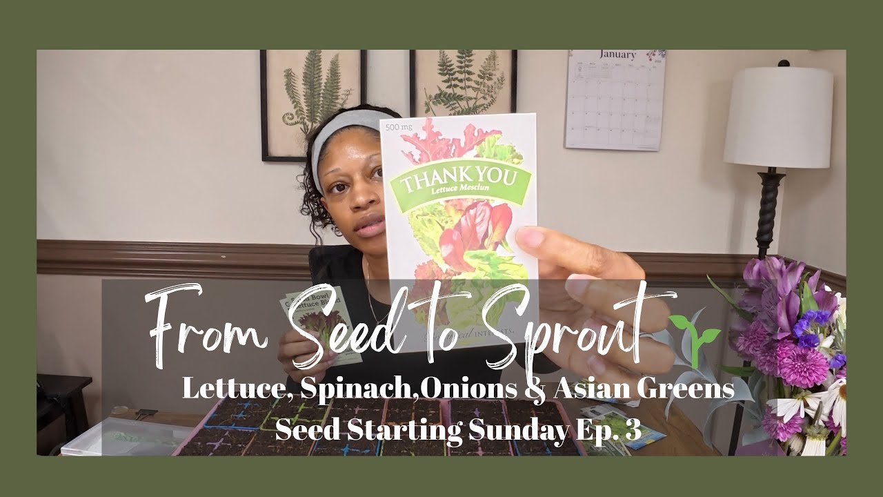 Seed Starting Sunday: Onions, Greens & Fertilizing Seedlings 🌱| S1 Ep 3 #seedstarting #gardening