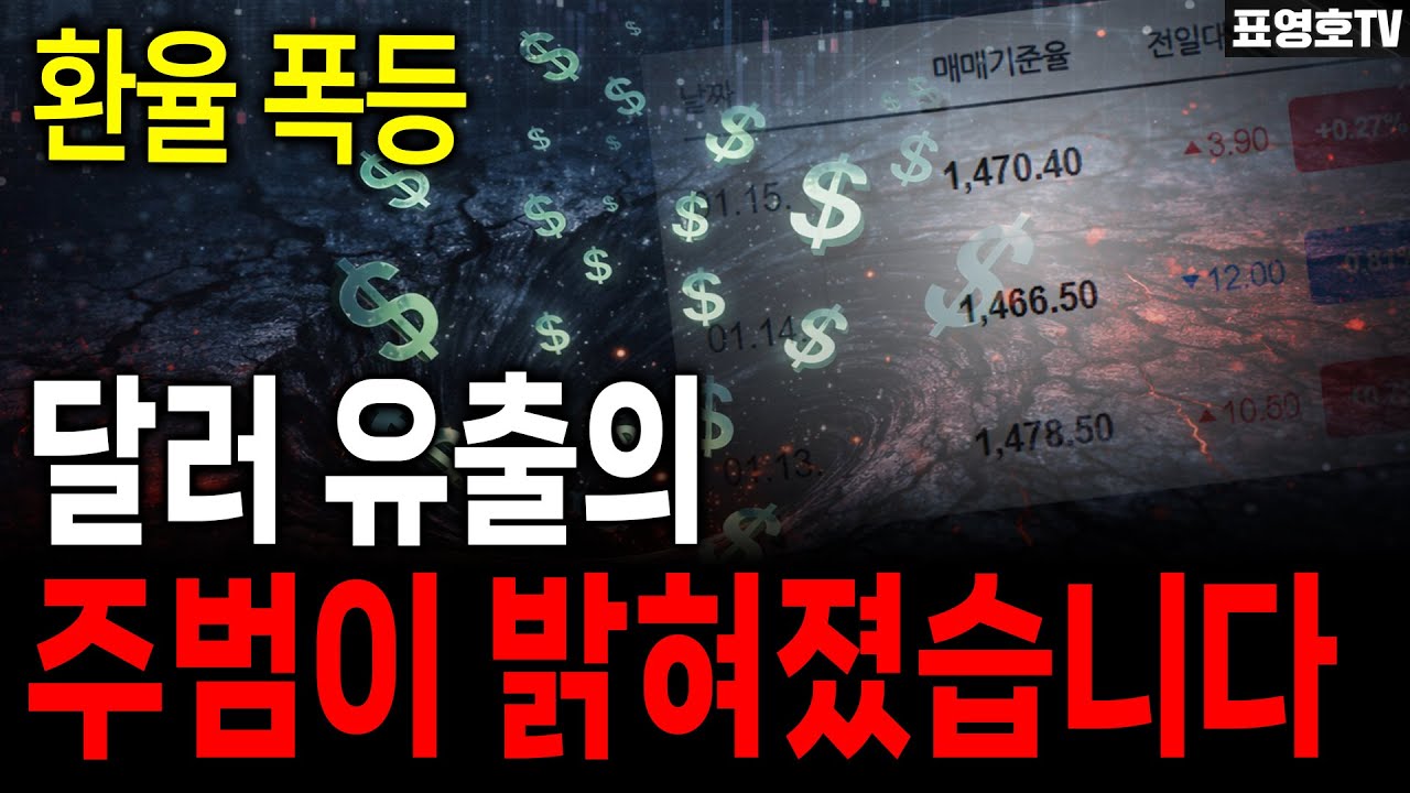 ‘원화 약세, 한국경제와 안 어울려’ 미친 환율의 급등 범인
