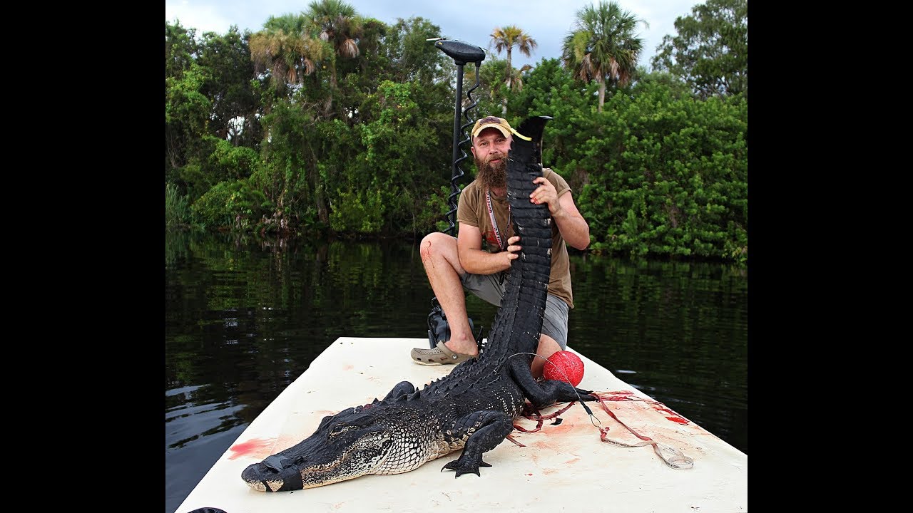 Florida Alligator Public Land Hunt DIY