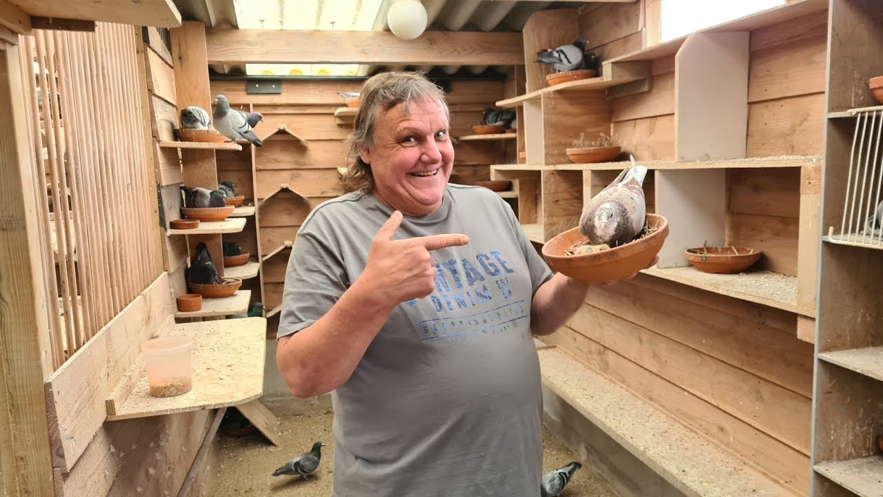 Bir Şampiyon Olmak istiyorsanız! "Kaçırma" POSTA GÜVERCİNİ