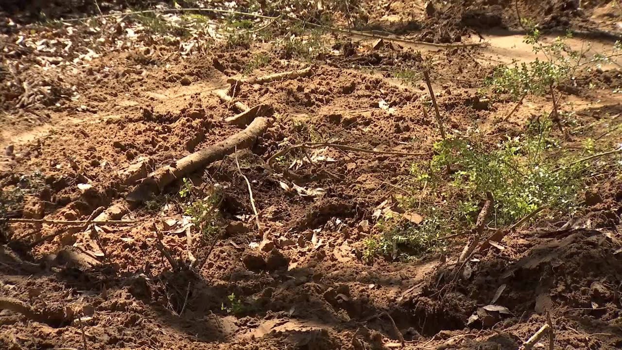 Three bodies uncovered in Baldwin County, not only connection in missing Choc family case