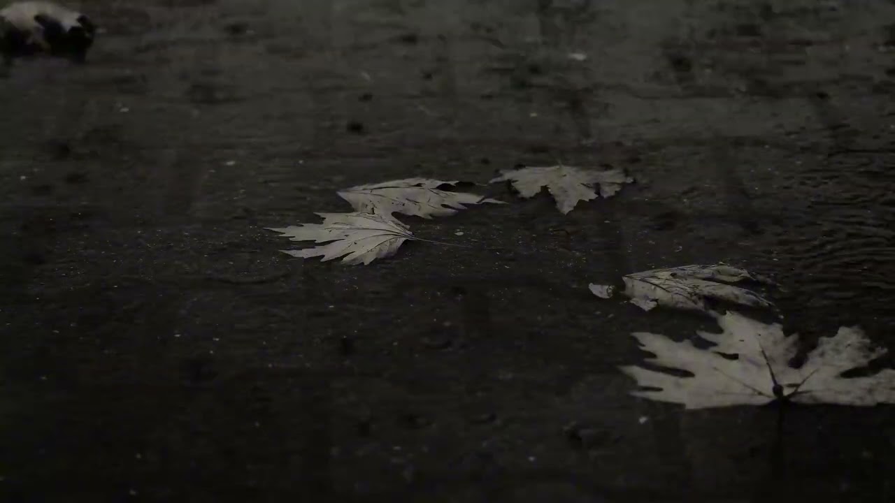 10 Hours of Gentle Night Rain | Fall Asleep Fast | No Thunder