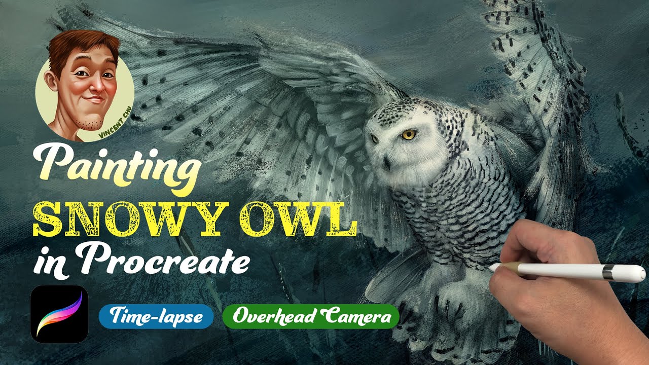 Draw Snowy Owl | Procreate