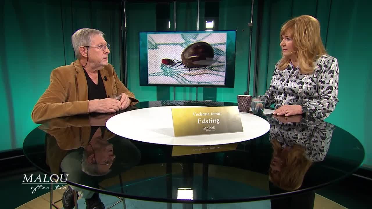 Fästingar kan sprida fler sjukdomar än vi vet - Så skyddar du dig bäst - Malou Efter tio (TV4)