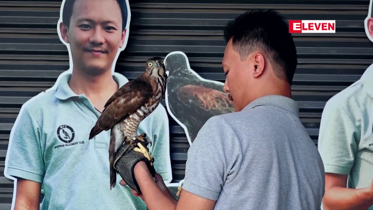 Falconer ကိုစိုင္းေနာင္ႏွင့္ေတြ႕ဆံုျခင္း (႐ုပ္သံအစီအစဥ္)