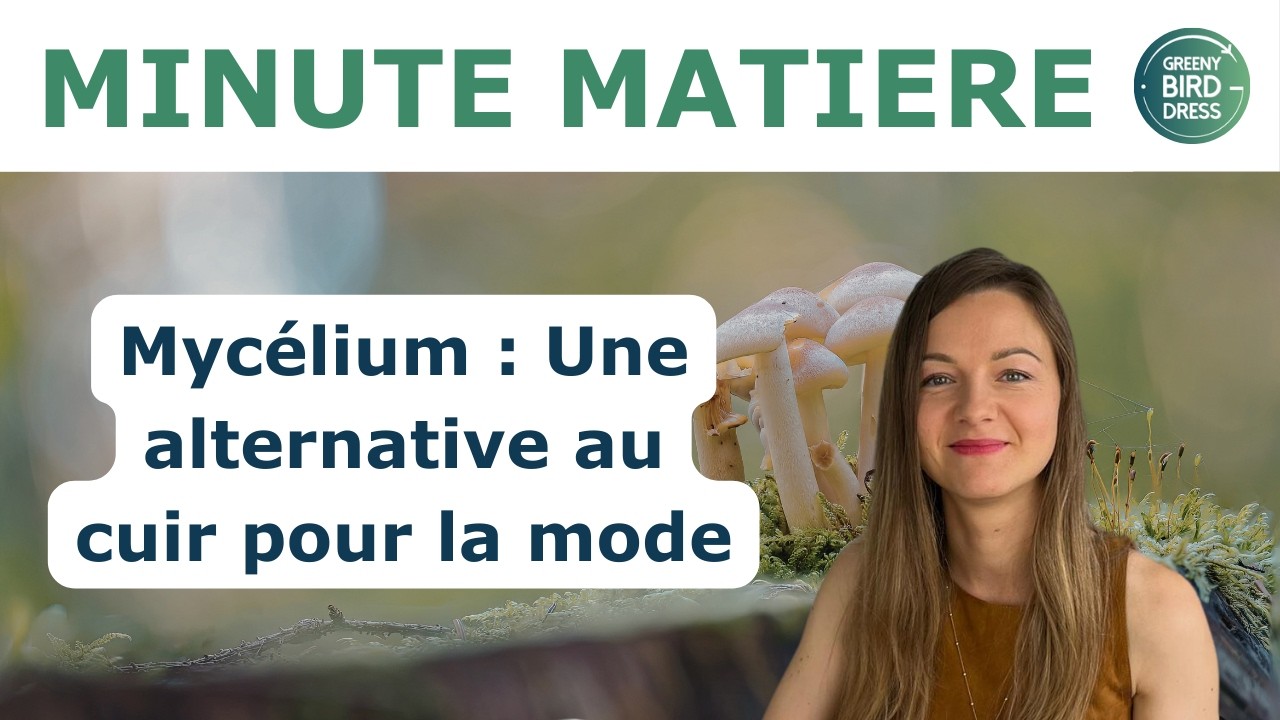 Le cuir de champignon : La Minute Matière #1