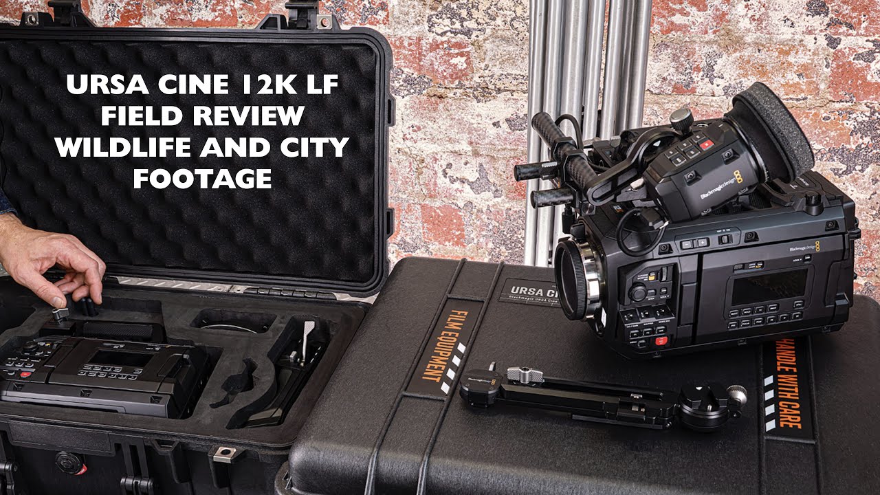 URSA CINE 12K LF FIELD WILDLIFE AND CITY REVIEW