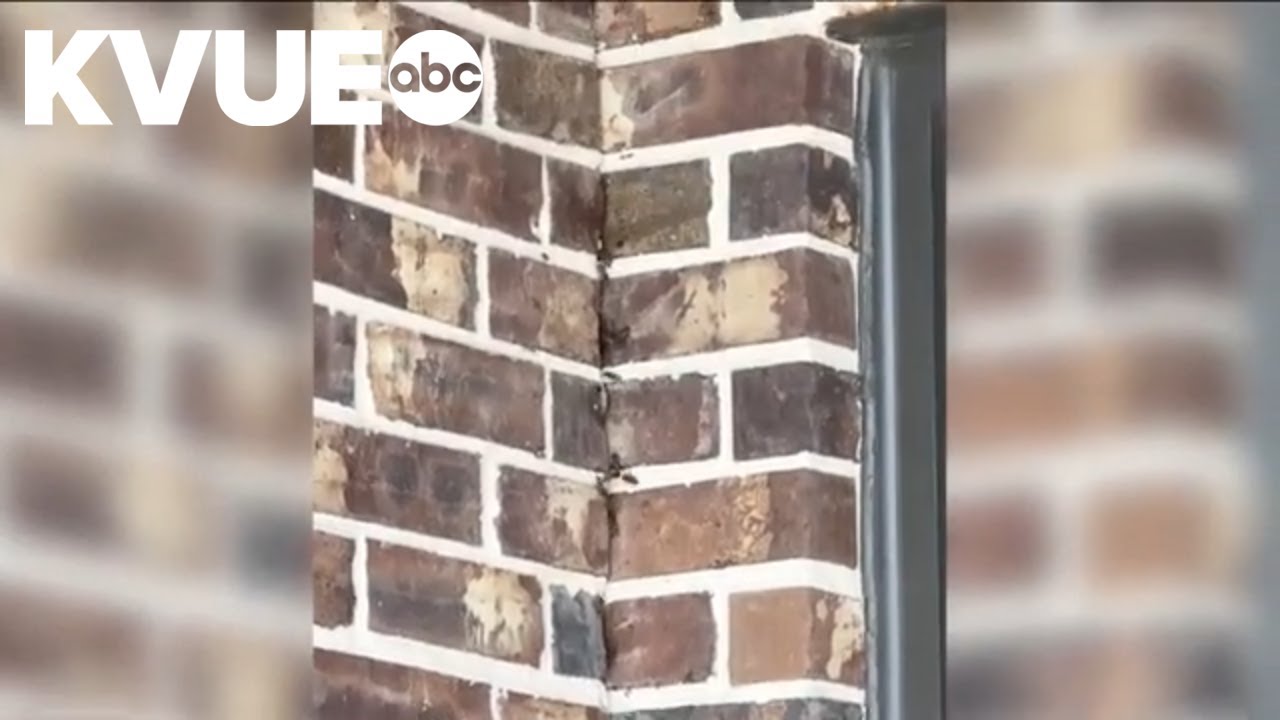 Thousands of bees swarm home near Houston