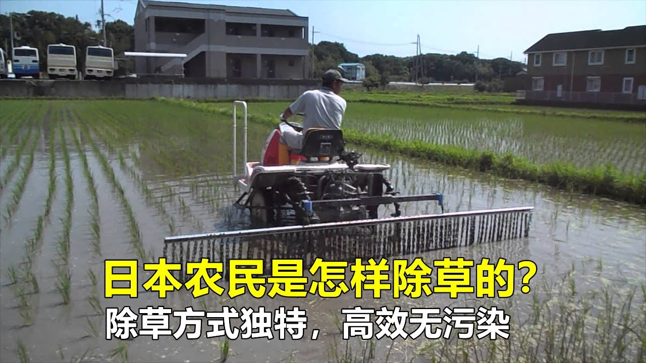 日本农民是怎样除草的？除草方式独特，高效无污染，令人赞叹！