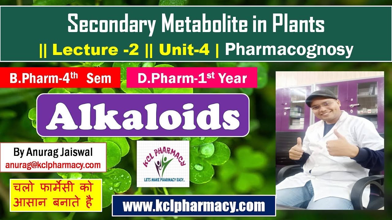 ALKALOIDS - Secondary metabolite in Plant | Pharmacognosy L-2 Unit-4