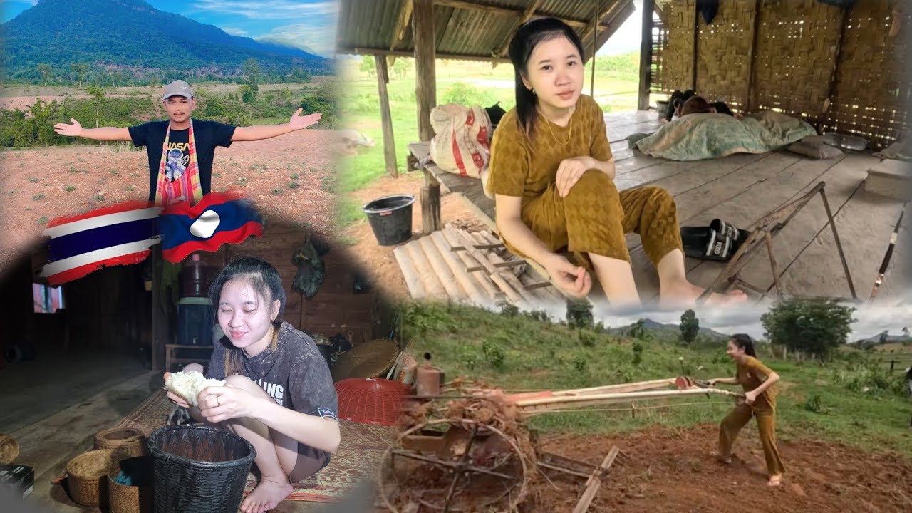 #น้องติน่า #สาวลาว แม่ศรีเรือนที่ดีขับรถไถนาโชว์หนุ่มไทย ถ้าใครอยากเป็นเขยลาวต้องเดินข้ามภูเขาก่อน