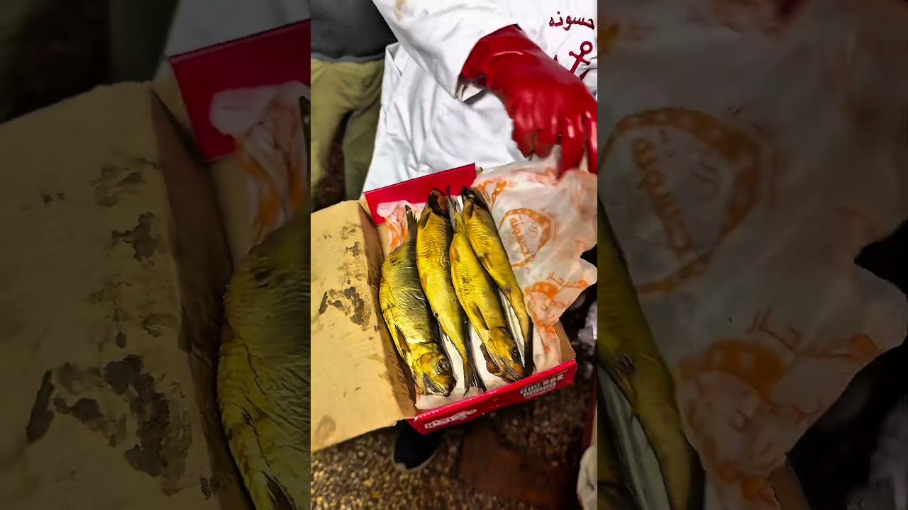طريقة تصنيع الرنجة من مصنع رنجة البحار في حسونة #حباش_ام_حسن_بدمنهور #food #اكلتك #اكسبلور #طبخ #اكل