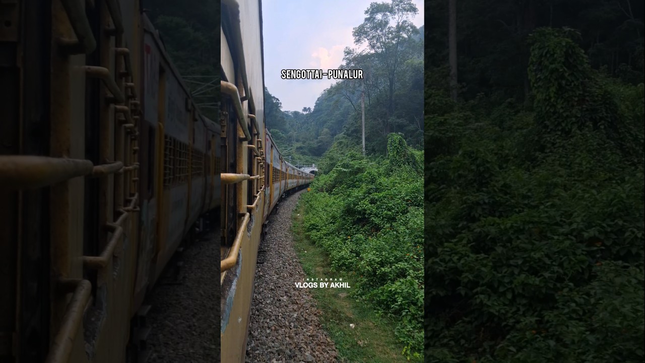 Sengottai to Punalur🍃 🥰 #travel #sengottai #punalur #shorts #trainjourney #tenkasi #thenmala