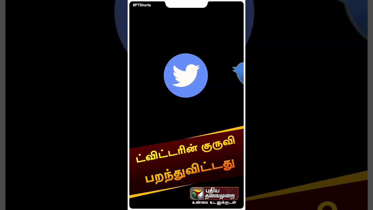 Twitter's sparrow has flown | Twitter Logo #shorts