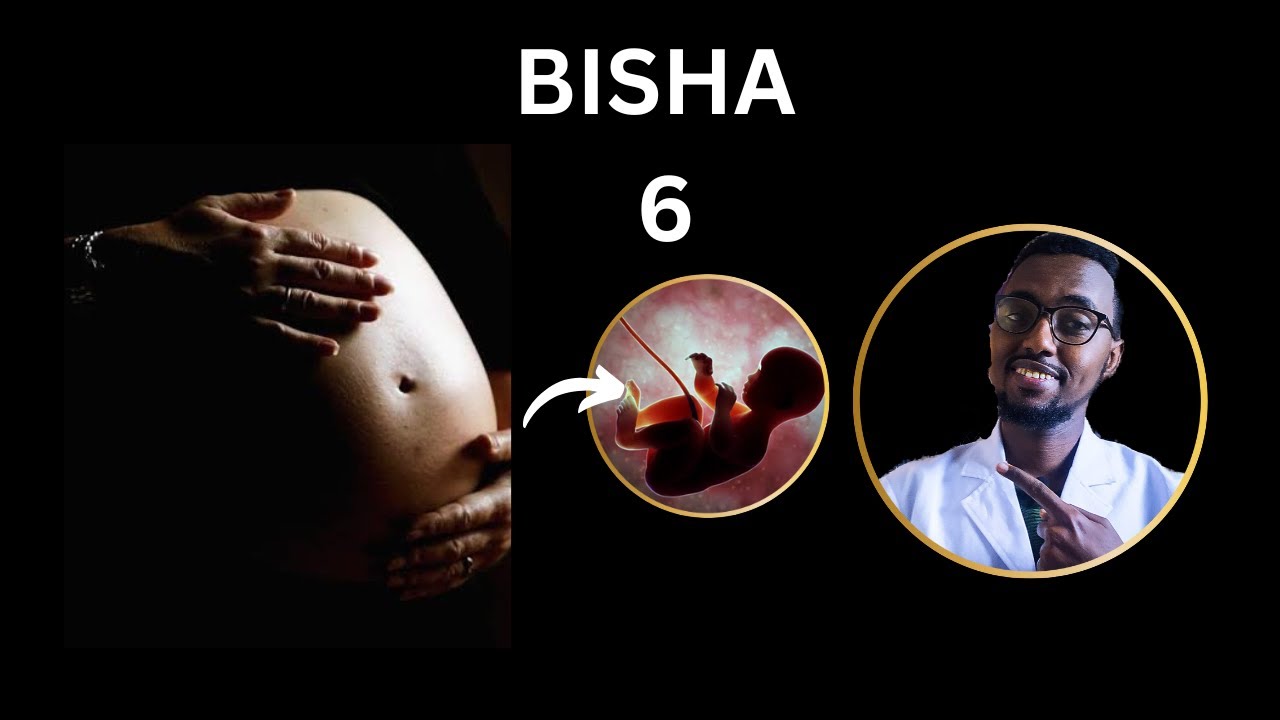Bisha 6 Ee Uurka: Maxaa La Filayaa- Part 1