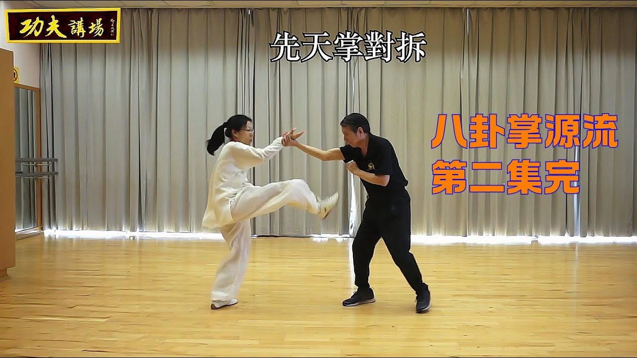 八卦掌源流 : (高清) 鄧昌成師傅親述  (第二集)全二集完