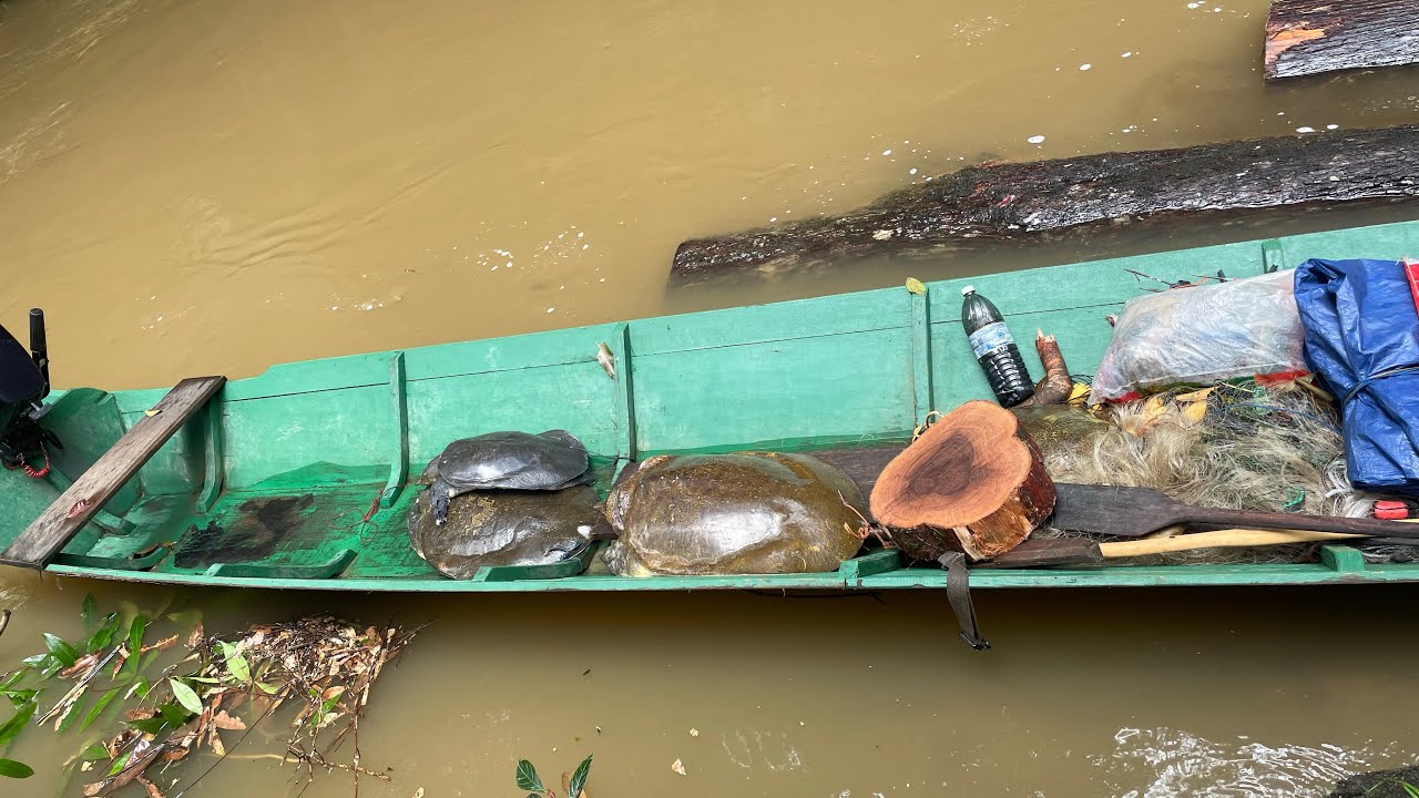 Rampa Menua ulu anap97200 Tatau,sarawak