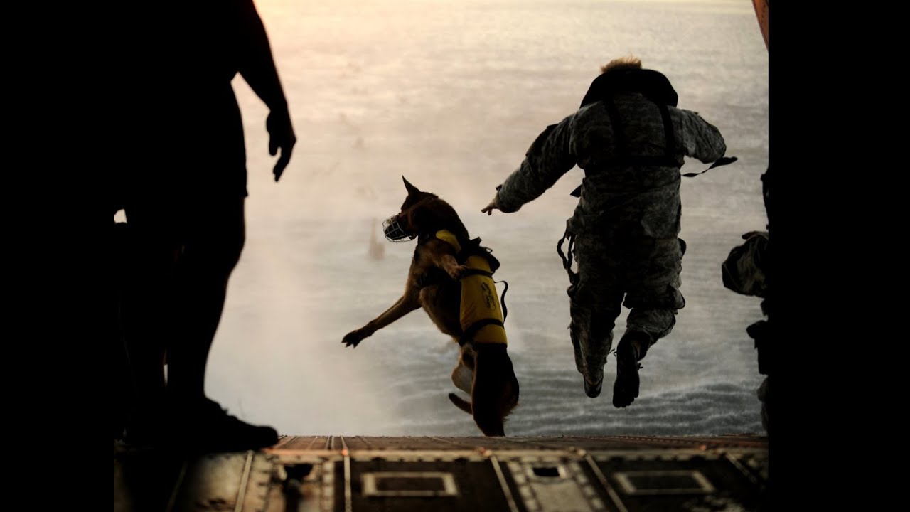 Sniffing Out Bombs: America's most elite dogs