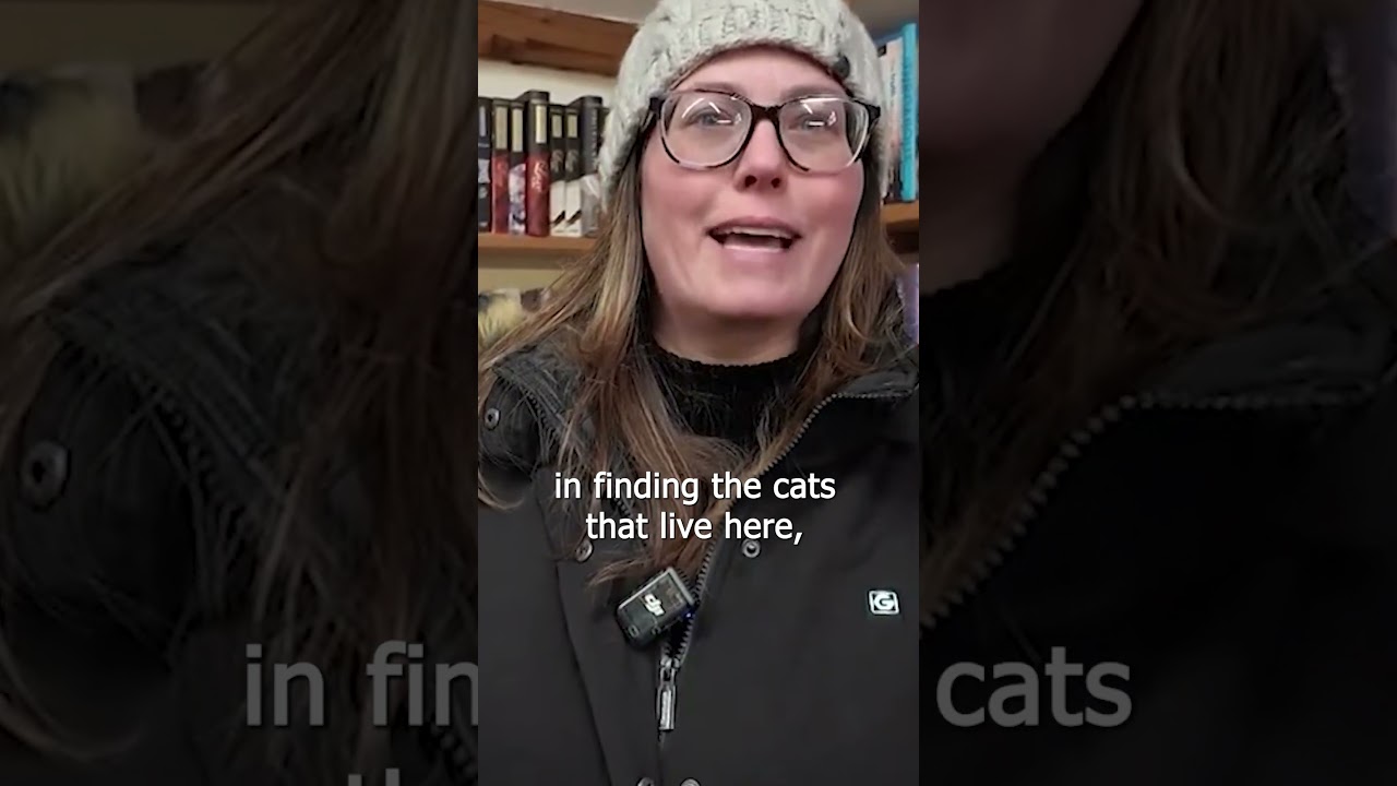 Road Trip: Lose yourself as you browse the vast book selection at Book Barn in Niantic, CT | News 12