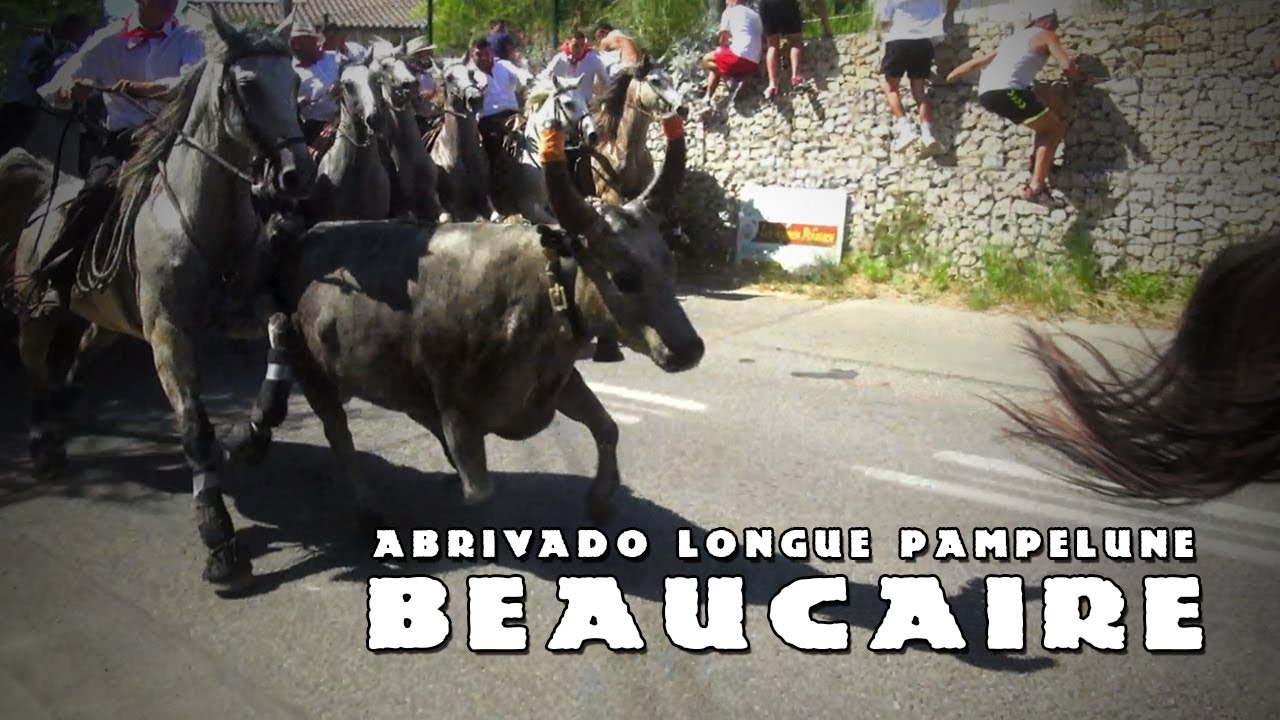 BEAUCAIRE Abrivado Longue Pampelune 25-07-2021 🐴
