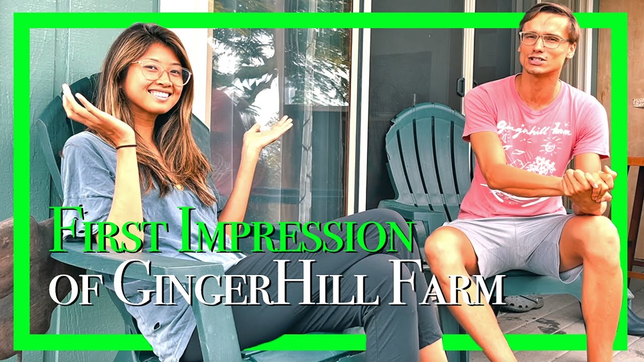 Linda&rsquo;s first impression of Gingerhill Farm