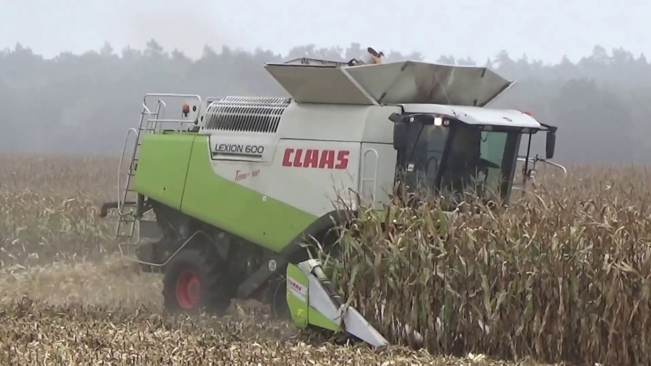 CLAAS LEXION 600 KORRELMAIS DORSEN