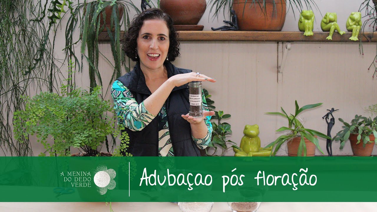 Como Fazer Adubação para Plantas (pós floração e folhagens - Tutorial)