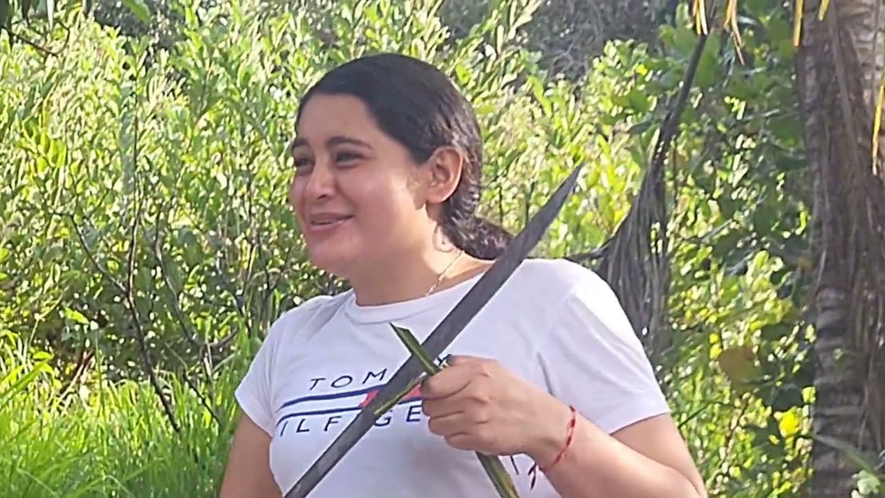 😂 nos divertimos un rato queriendo bajar cocos 😅