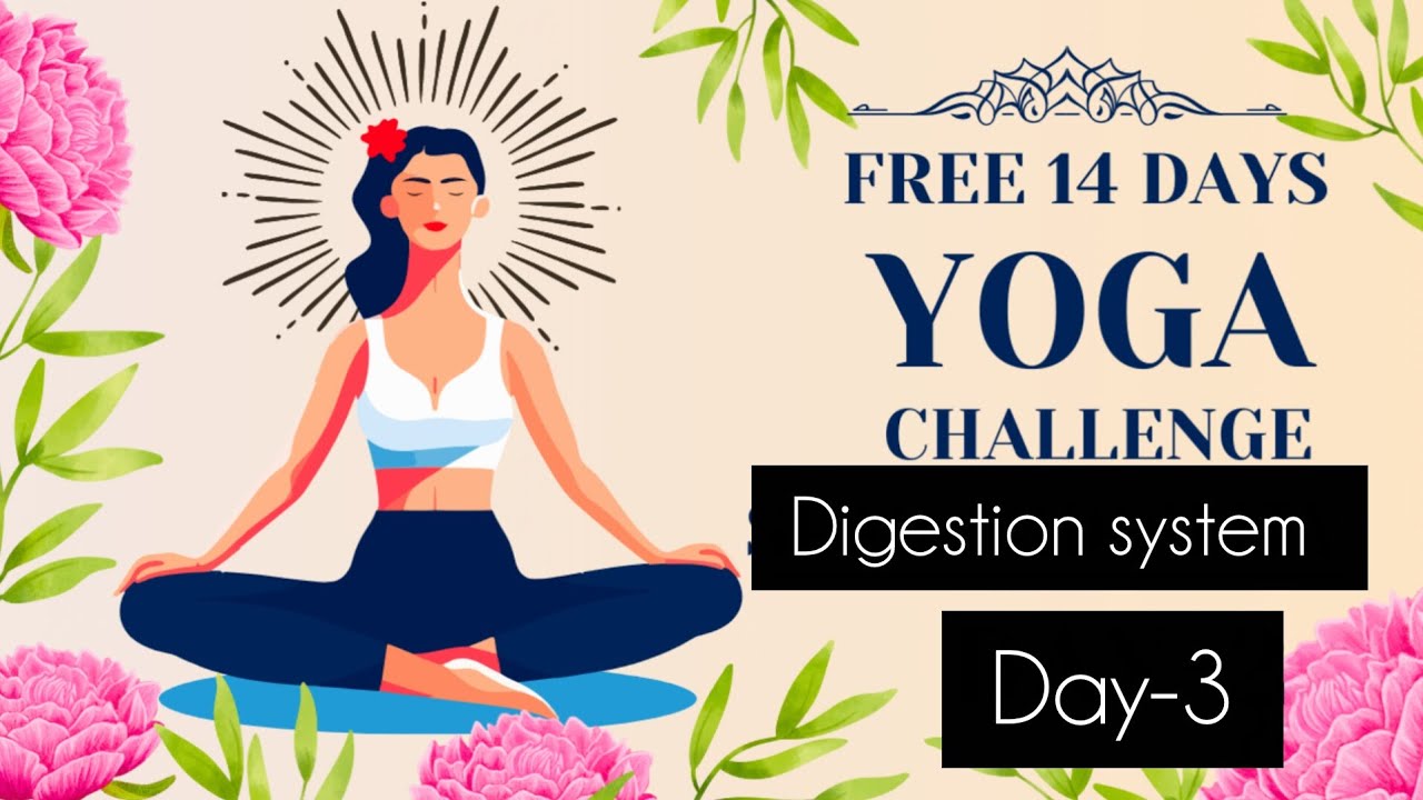 Day-3 massage digestive organs 