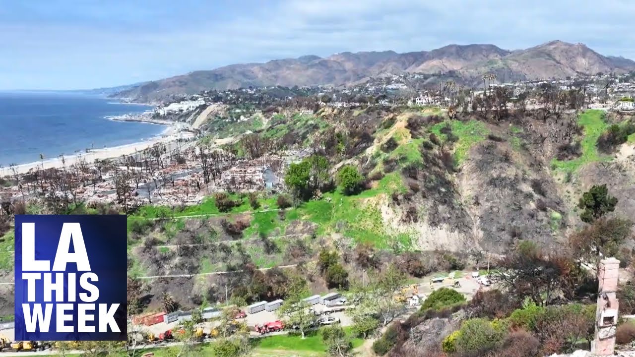 100 Days After: LA's Comeback