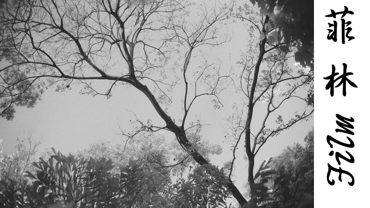 #76 Ilford SFX 200 (IR 720nm filter VS no filter)