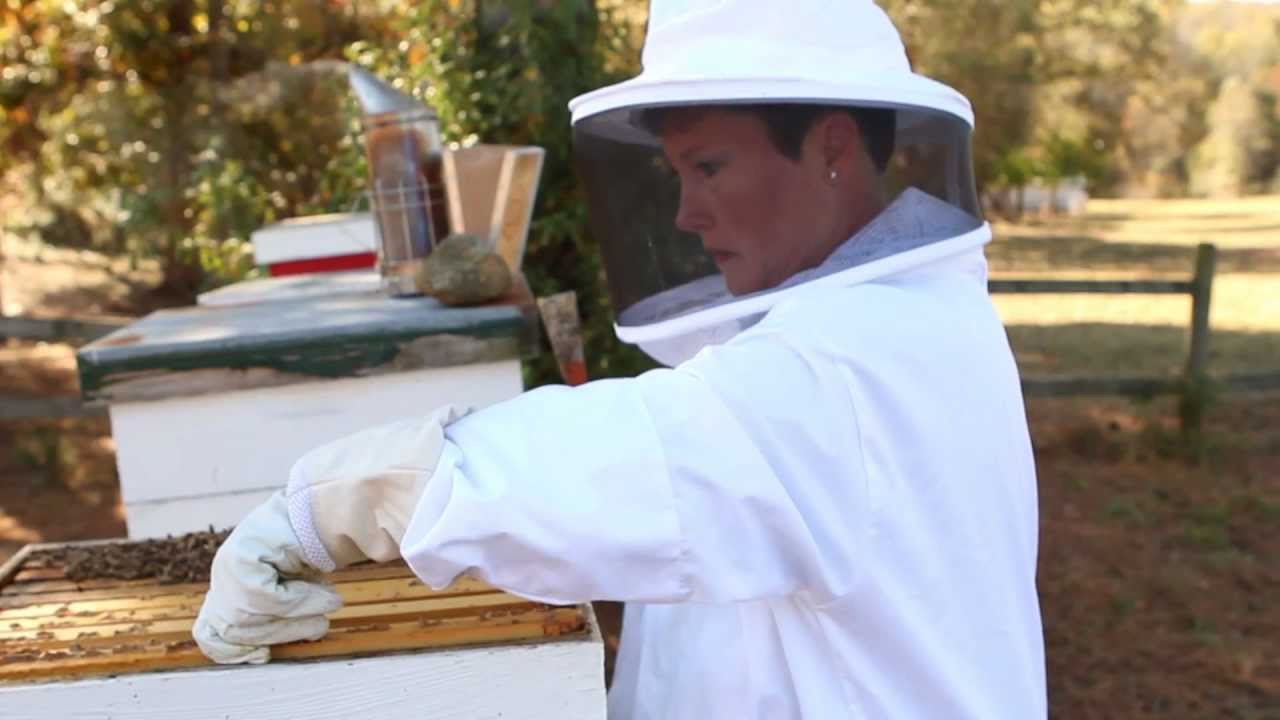 Georgia Grown Honey