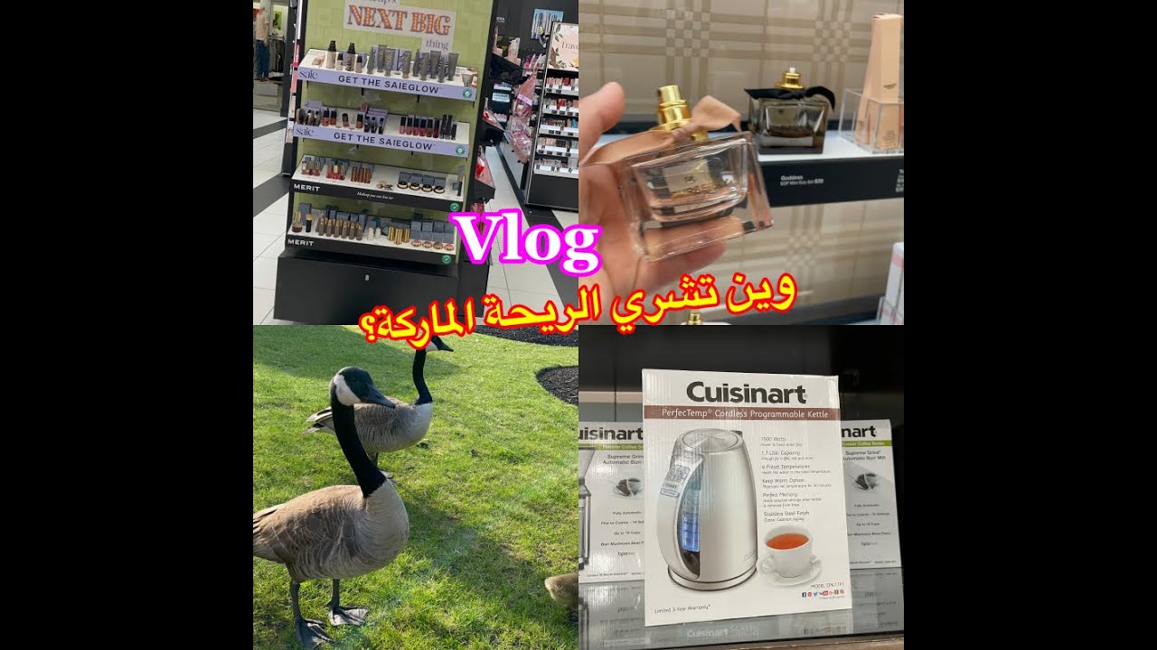 تحويسة شابة،عطوني رأيكم!جزائرية 🇩🇿في أمريكا 🇺🇸