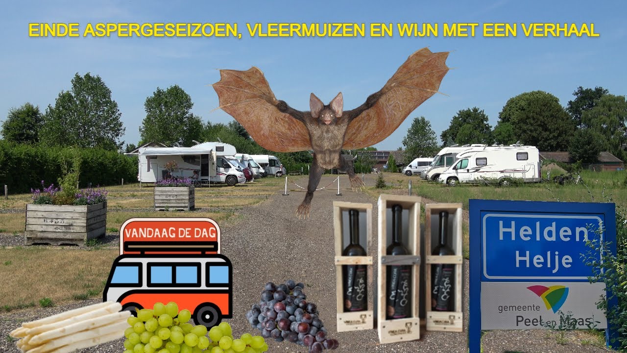 Met de camper naar HELDEN | Einde Aspergeseizoen, Vleermuizen en Wijn met een Verhaal