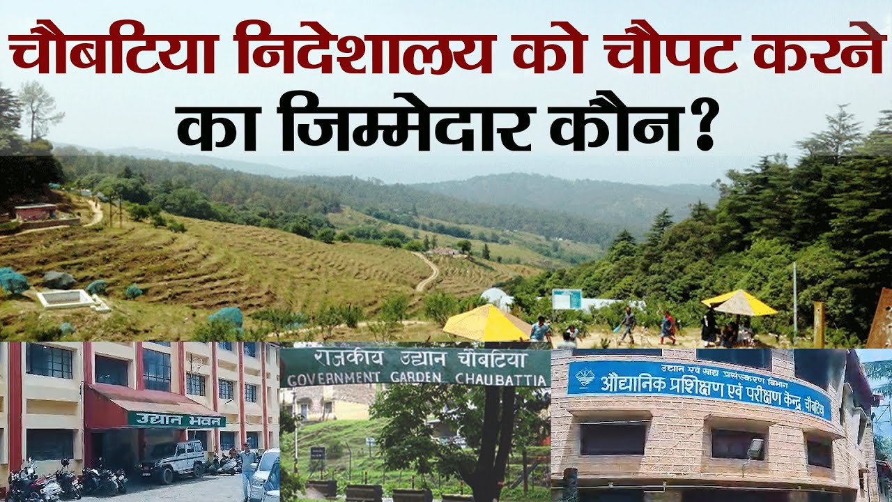 नेहरू को पसंद थे जहां के सेब आज बदहाल है Uttarakhand का Chaubatiya Garden  Horticulture।Ramesh Bhatt