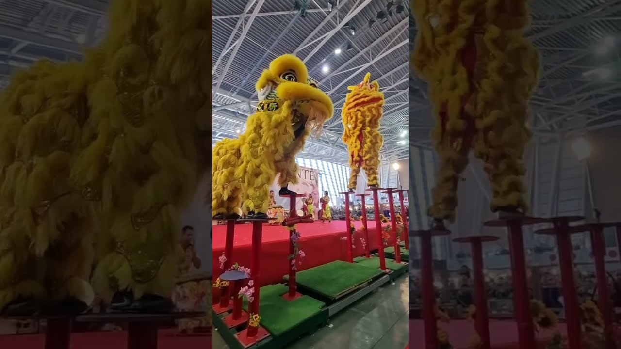 Danza dei Leoni sui pali 🦁🦁 by Italy lion and dragon dance.  Festival dell'Oriente 2024 Torino