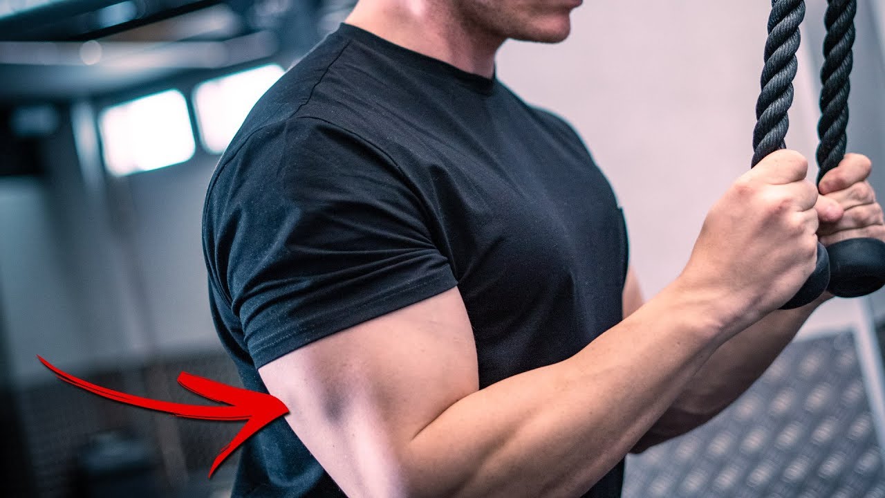 HAZ ESTO PARA TRICEPS GRANDES (3 CLAVES)