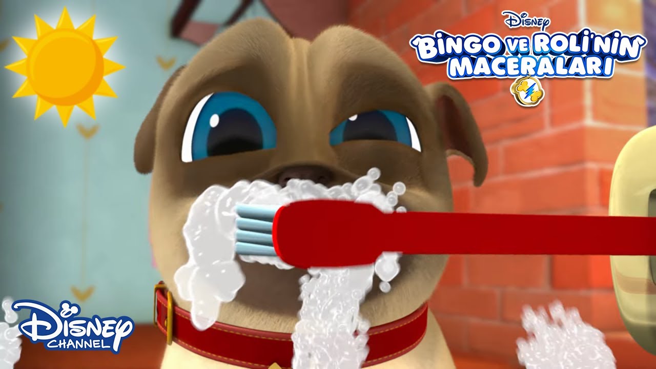 Sabahları Uyanmak🌞🤓 | Bingo ve Roli'nin Maceraları | Disney Channel Türkiye