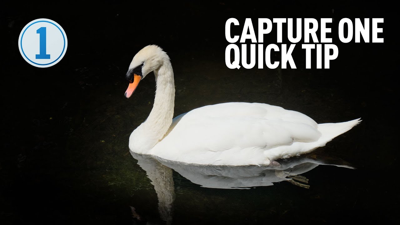 Capture One Quick Tip - Control a Vignette with Layers and Luma Range