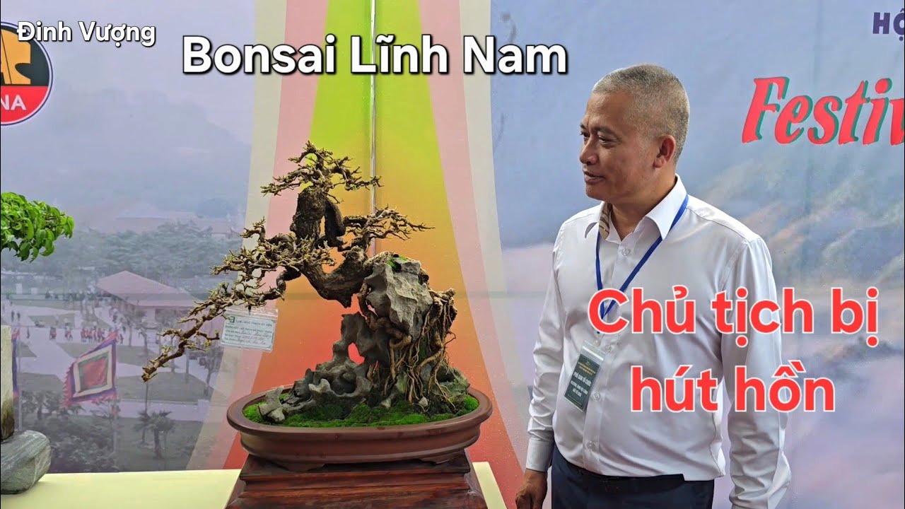 Chủ tịch Dũng bị hút hồn với giàn bonsai để bàn.Nhỏ mà có võ !.