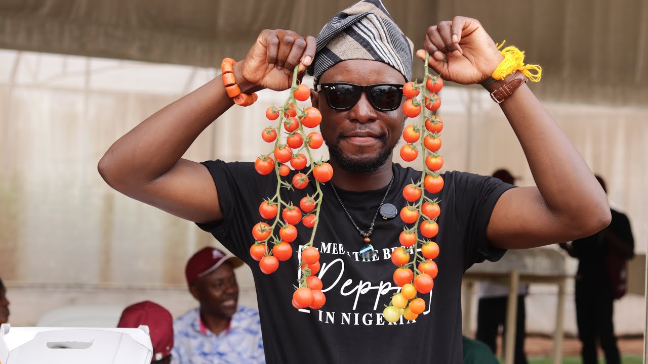Talk on Bell Pepper Cultivation in Nigeria 