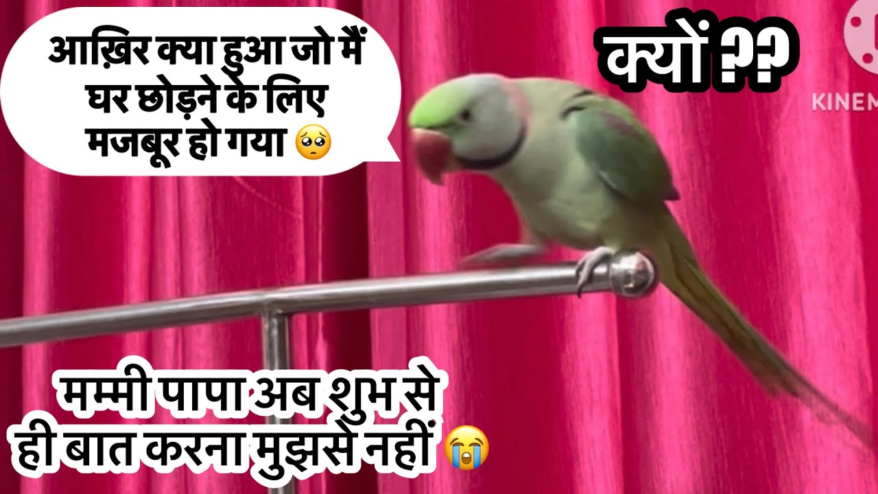 Mai Ghar Chod Ke Jaa Rhaa Hun 🦜😭Shubh Ki wajah Se😡
