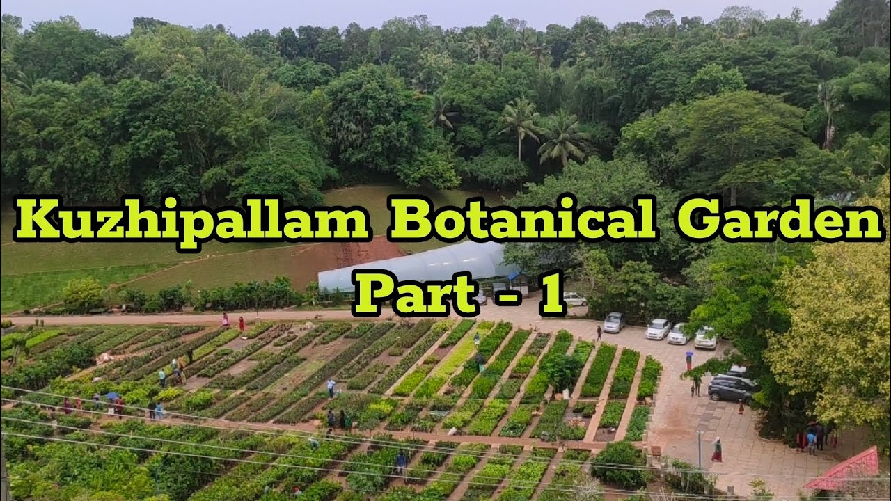 Kuzhipallam Botanical Garden Part - 1