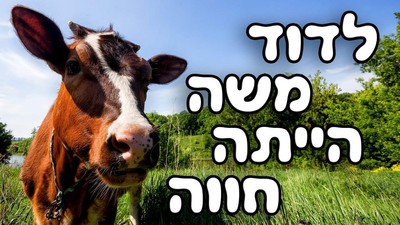 לדוד משה היתה חווה 🐮 שירי ילדים 👶 שירי משחק והפעלה
