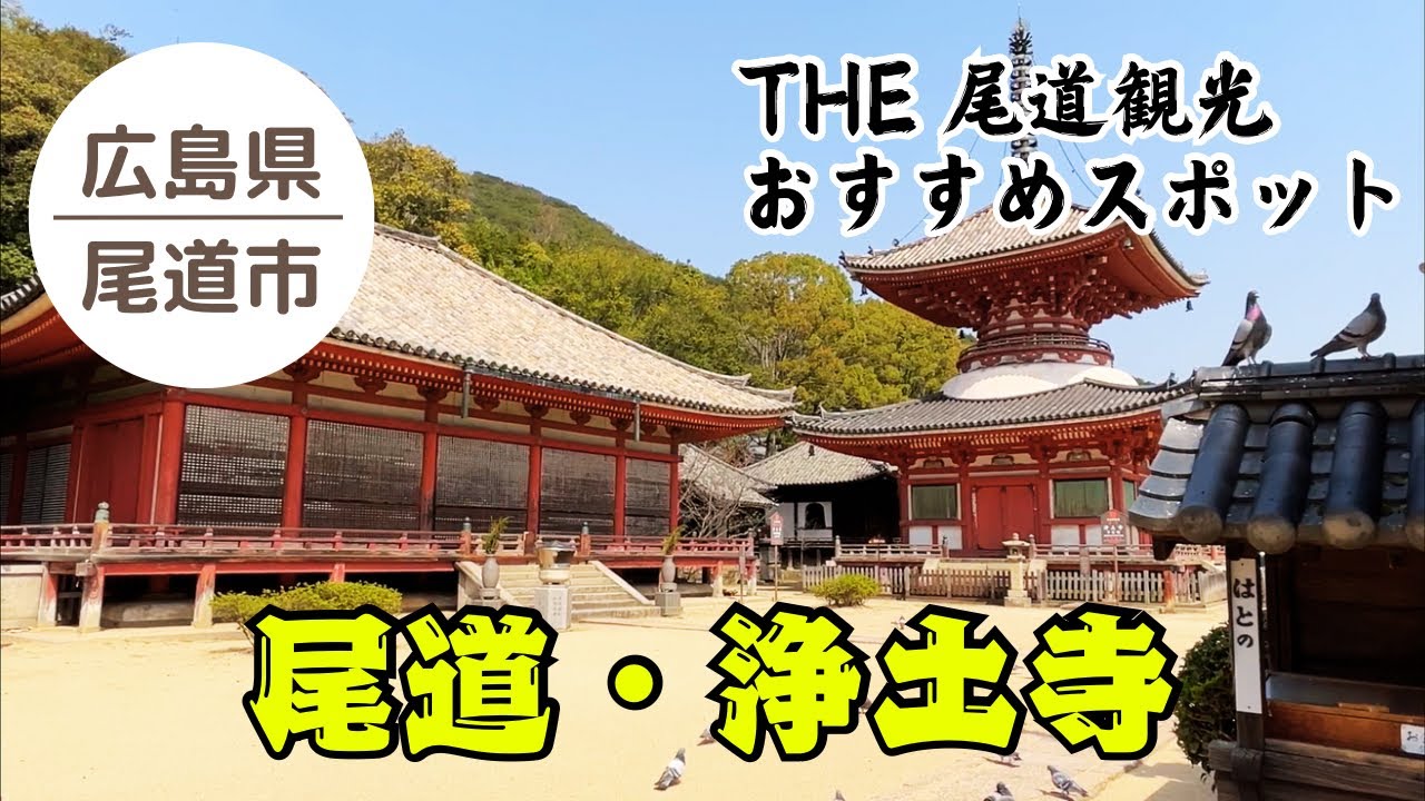 🪽ポッポポ〜 鳩で癒される 国宝の寺「浄土寺」｜尾道の絶景スポット