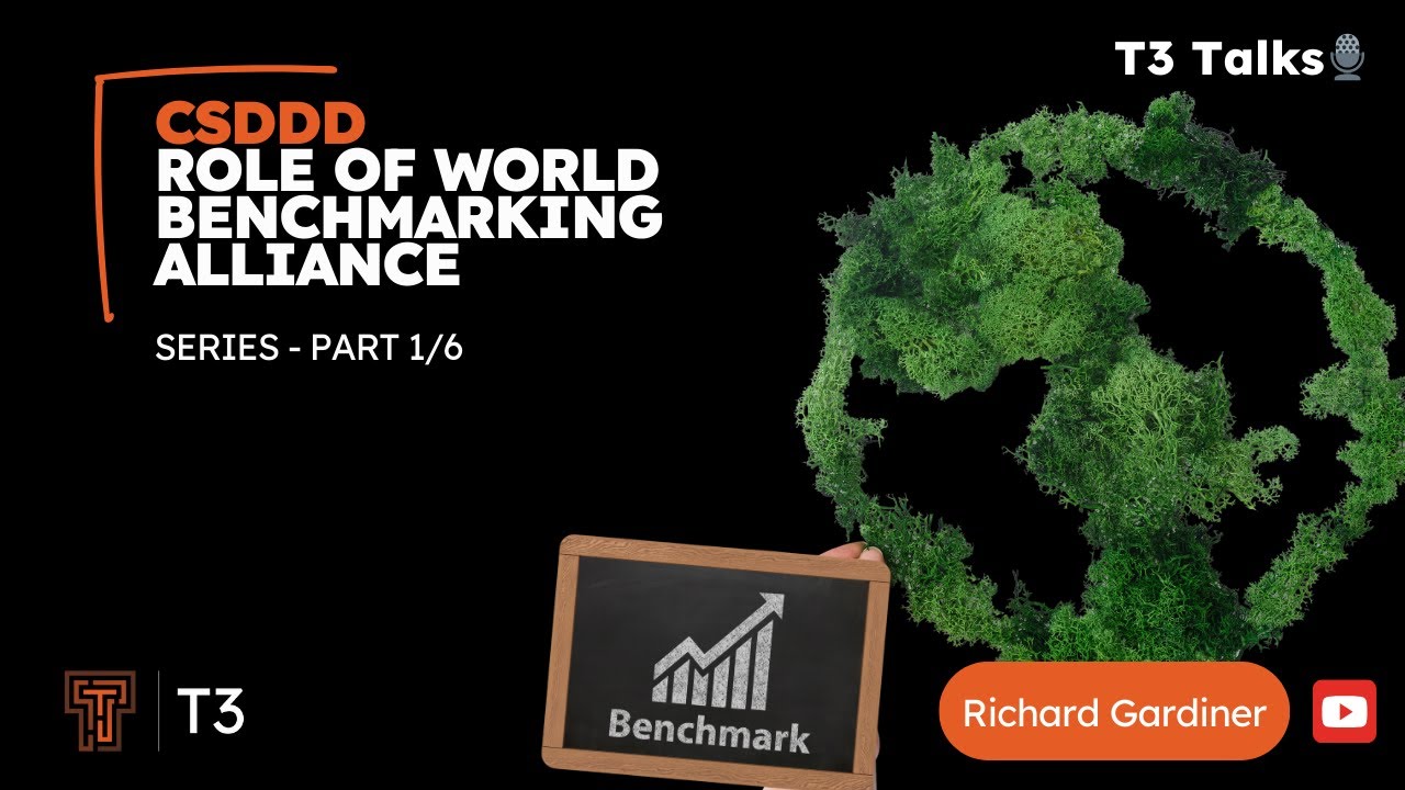 What is the Role of the World Benchmarking Alliance in CSDDD