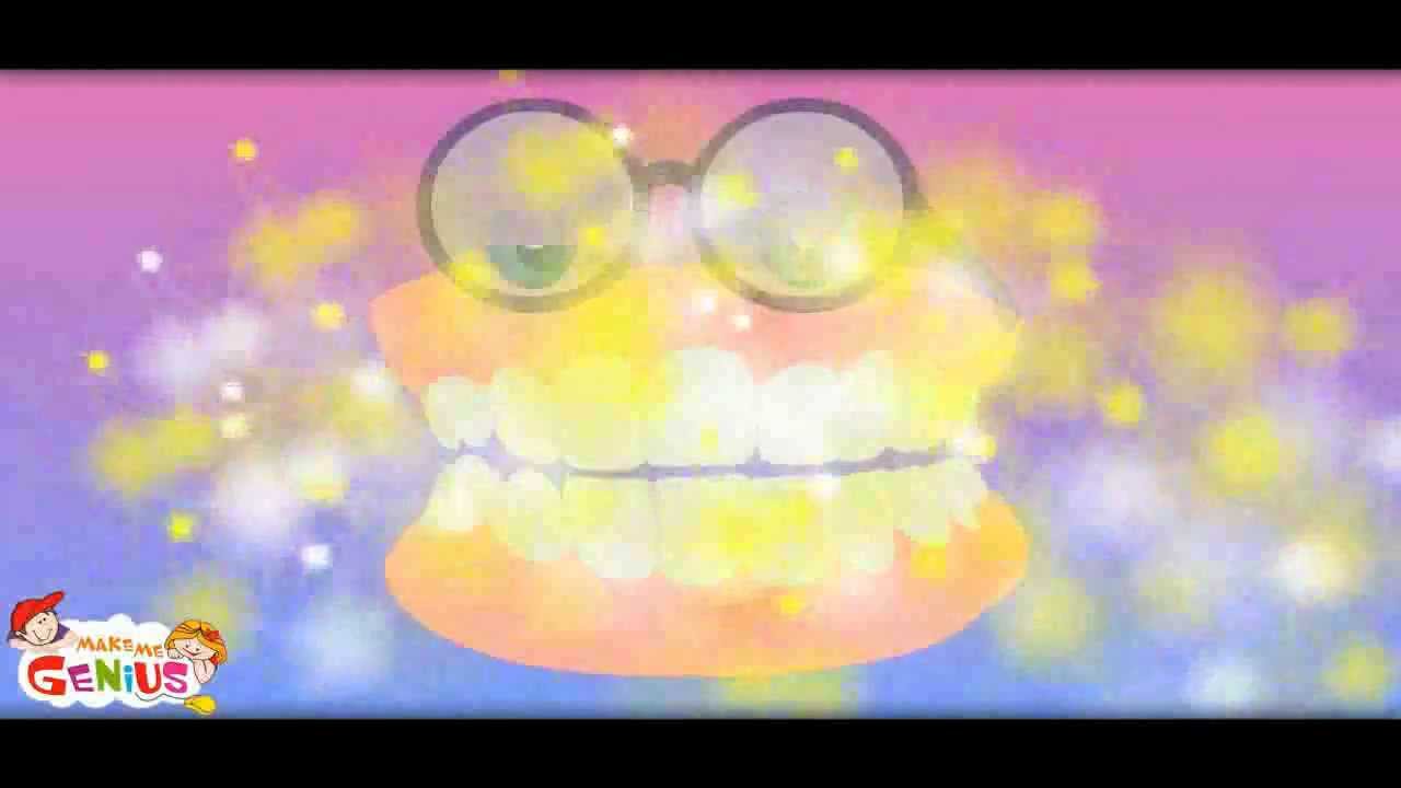 About Teeth for Kids - Dental Care Video - Types and Functions